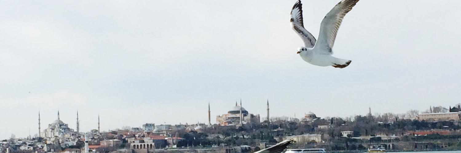 Hakan Gumus's banner