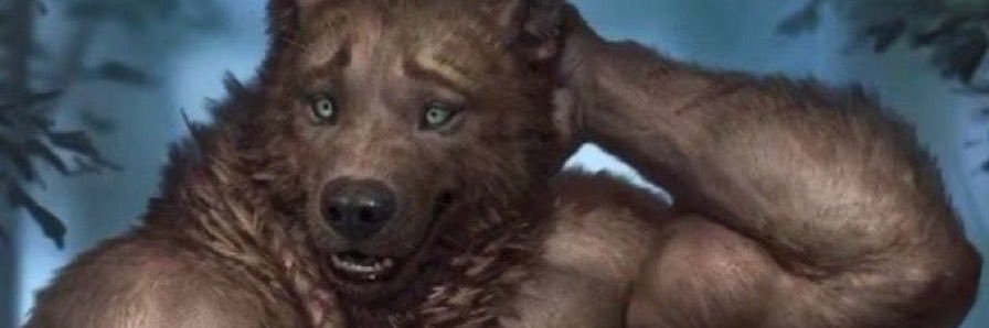 Ushi 🐾's banner