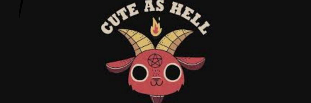 S's banner