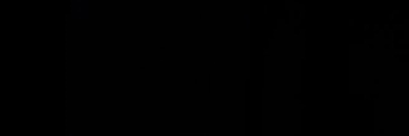 レオタードブタ's banner