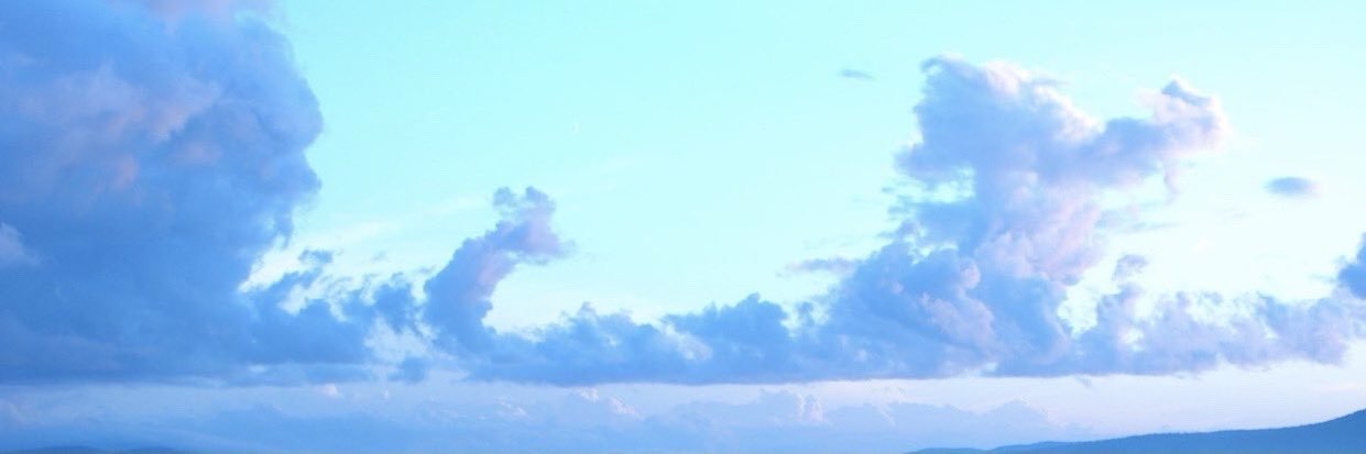 Standy's banner