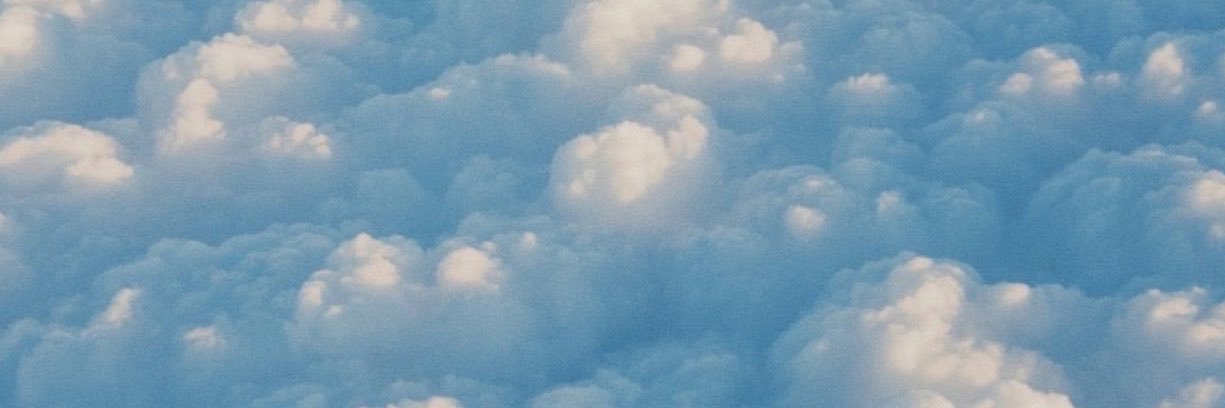 Standy's banner