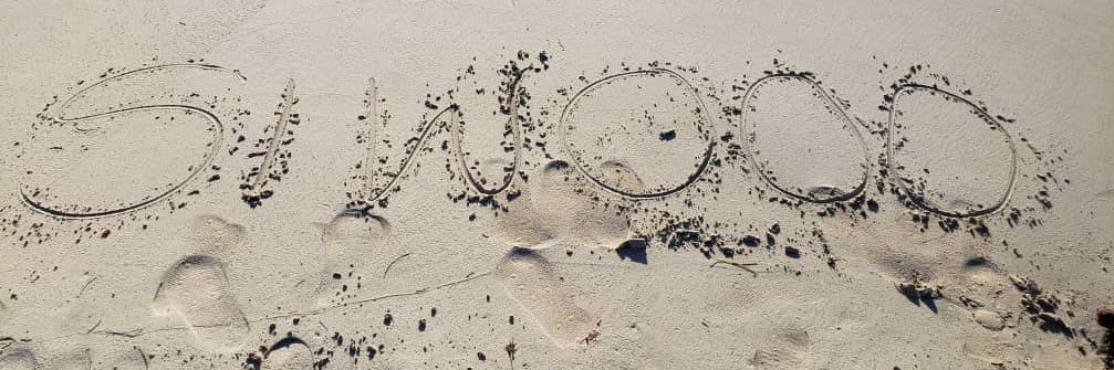 SIWOOO's banner
