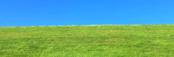 🍅's banner