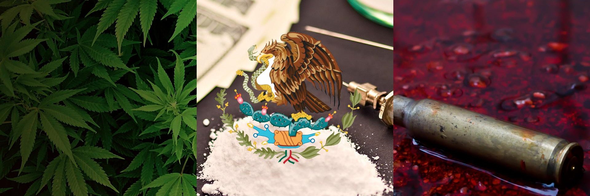 Alerta Roja México's banner
