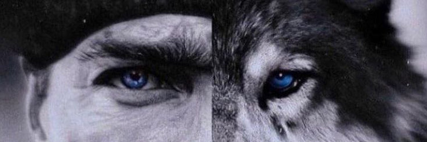 ah falan dünya's banner