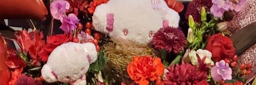 椿 あやね🍒's banner