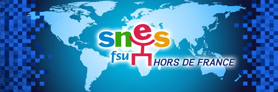 SNES-FSU hors de France's banner