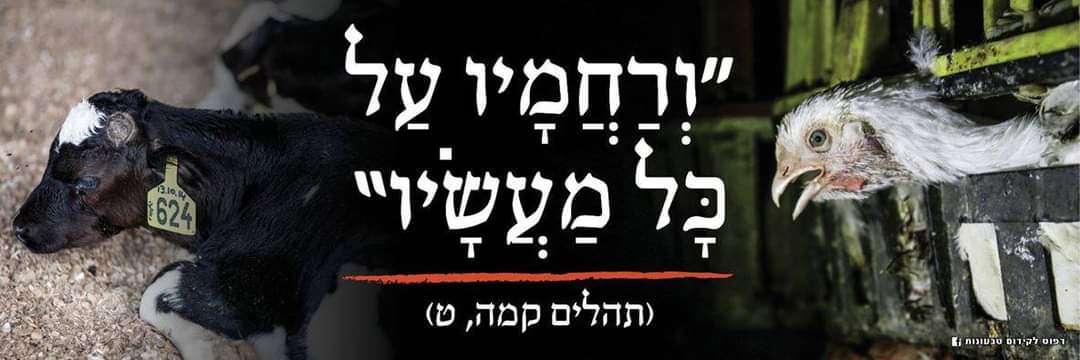 טל גלבועTal Gilboa🇮🇱's banner