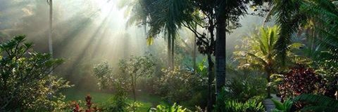 pijat_pijet_massagee_ueewwennnaaaaakk's banner