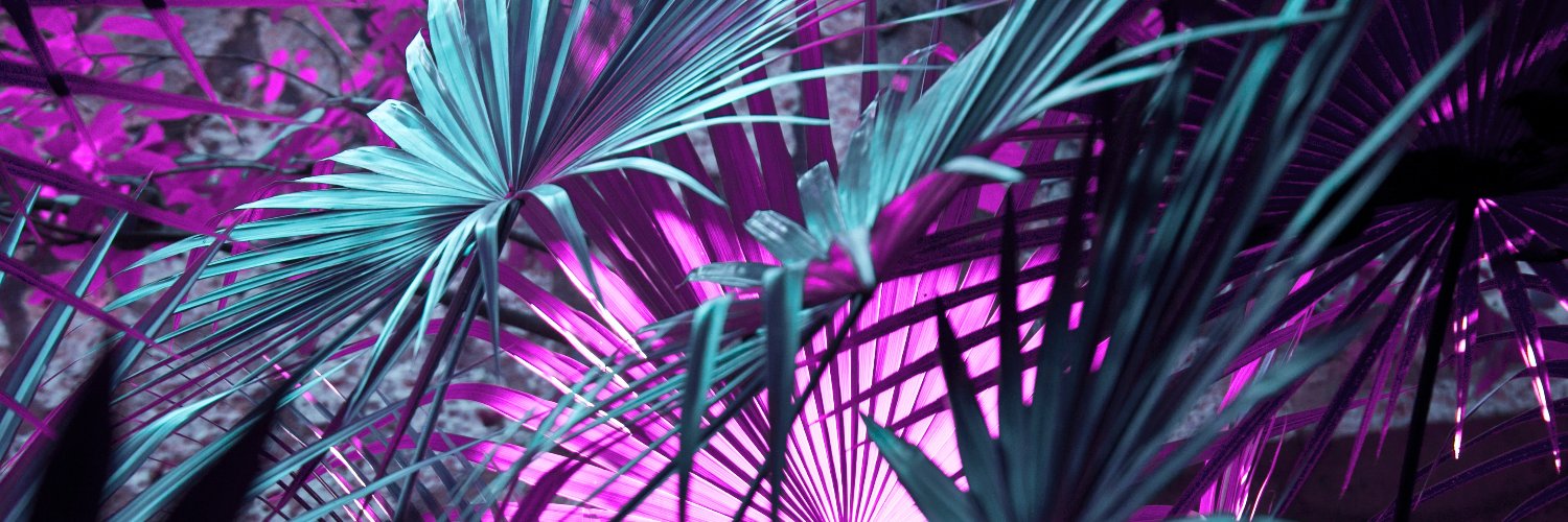 PurpleMambaClub's banner