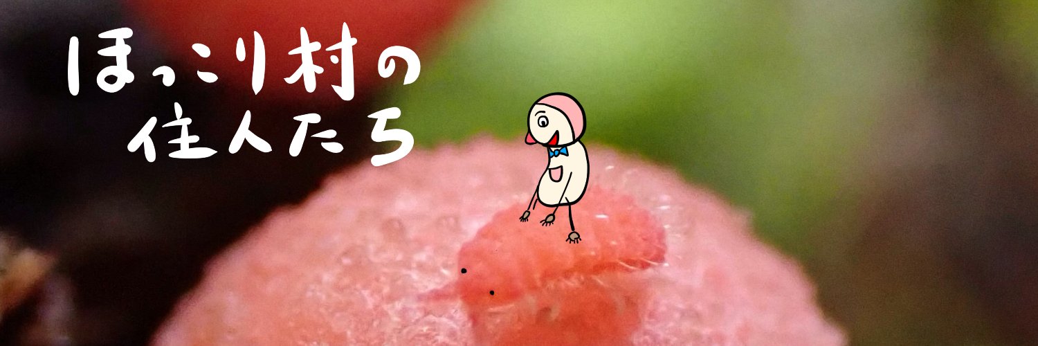 マメホコリ工房　片岡祥三's banner