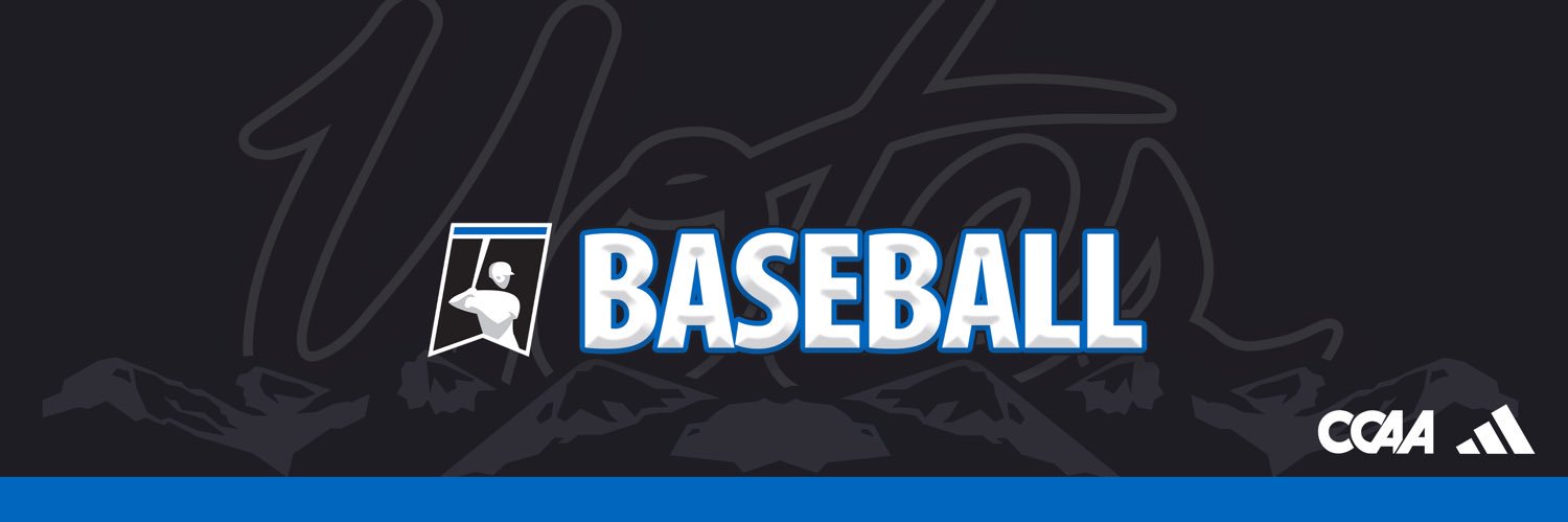 CSUSB Baseball's banner
