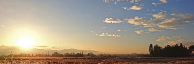 6ジイ鳥命(境界線は要るぞ！の弱々ジイです)'s banner
