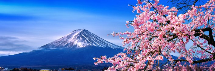 株式投資家🇯🇵中村健's banner