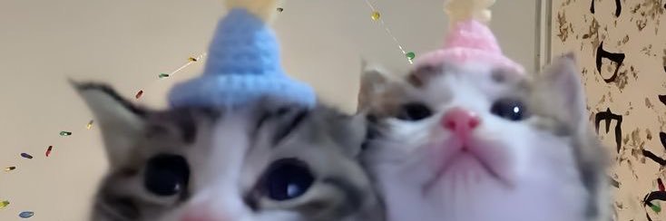a(llie)ndear's banner