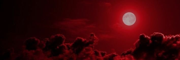 Shania Flowe's banner