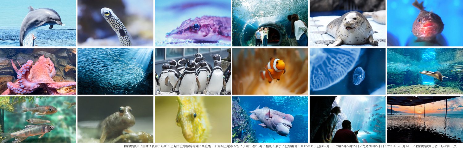 上越市立水族博物館 うみがたり's banner