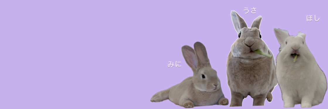 横山千晶(mille baisers)'s banner