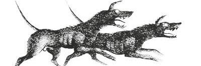 Negro Páramo's banner