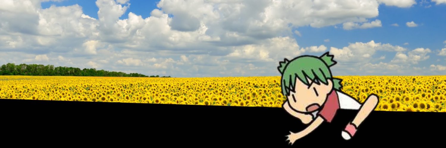 STELL's banner