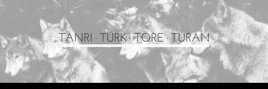 Öz 🇹🇷's banner