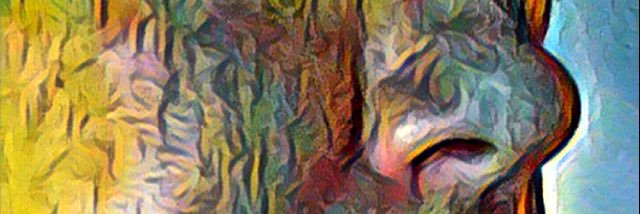 Regina Carbone's banner