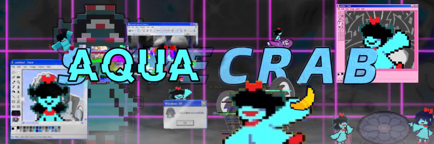 🩵 PIRATE AQUACRAB 🖤 🏴‍☠️'s banner