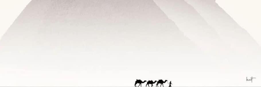 صوفياااا's banner