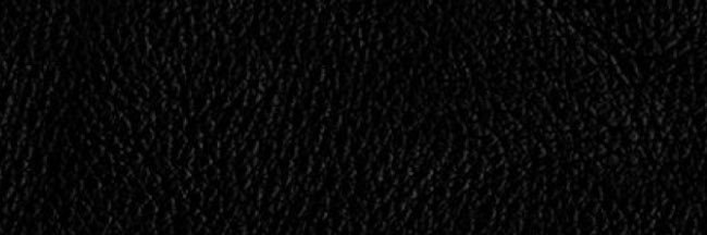 Harlee's banner