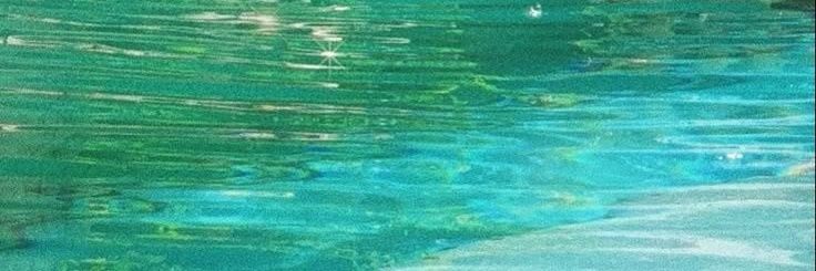 Y.'s banner