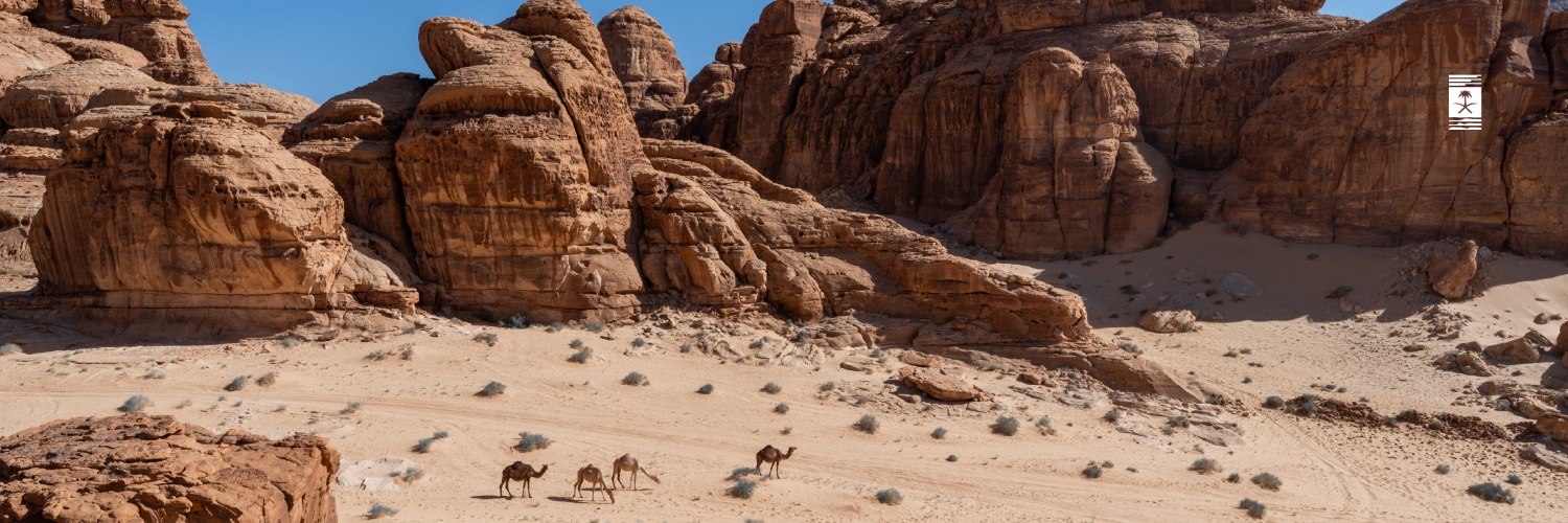 الهيئة الملكية لمحافظة العلا's banner