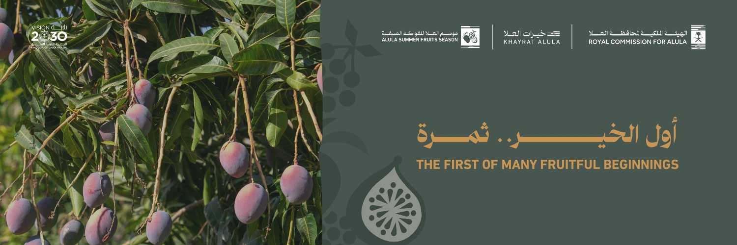 الهيئة الملكية لمحافظة العلا's banner