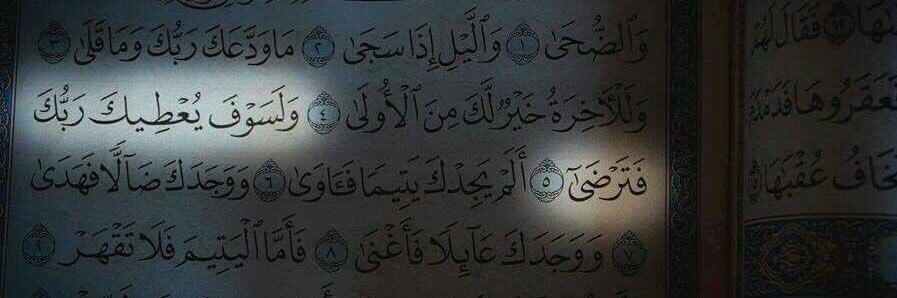 عبدالرحمن أيمن's banner