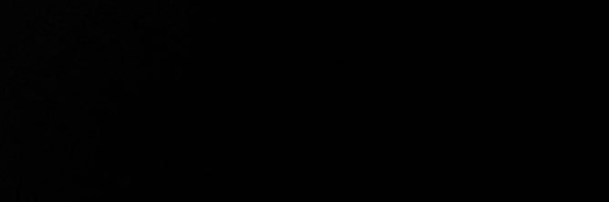 Amel Bouchoucha | امل بوشوشة's banner