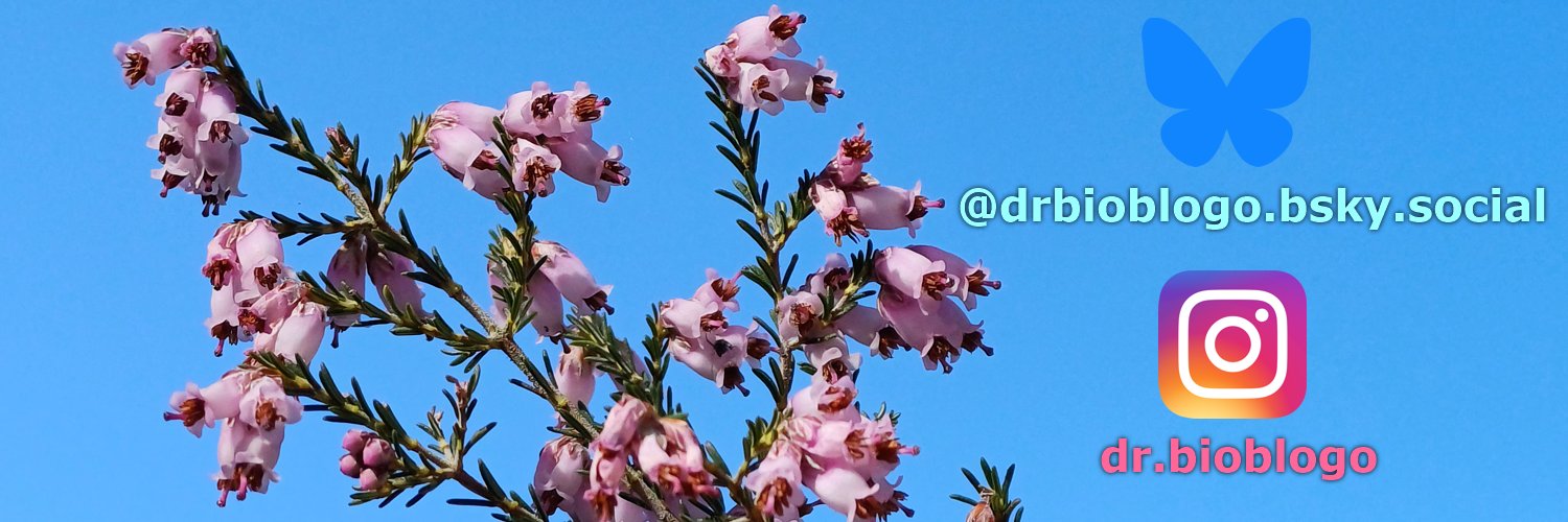 Dr. BioBlogo's banner