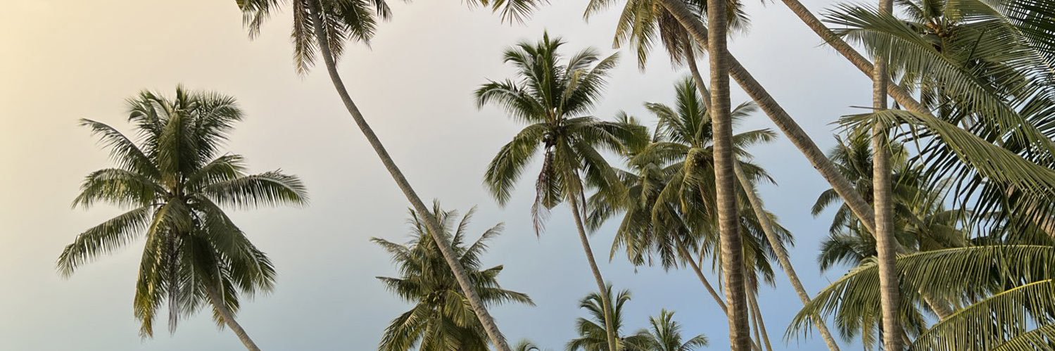 Jlo 🦦's banner