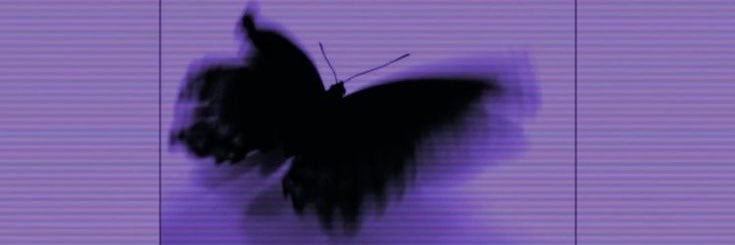 Jazmxn 🥀🖤's banner