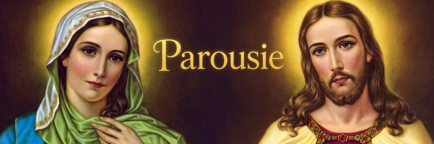 P@rousie ⚜️✝️'s banner