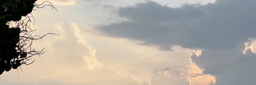 bánh 🍓's banner
