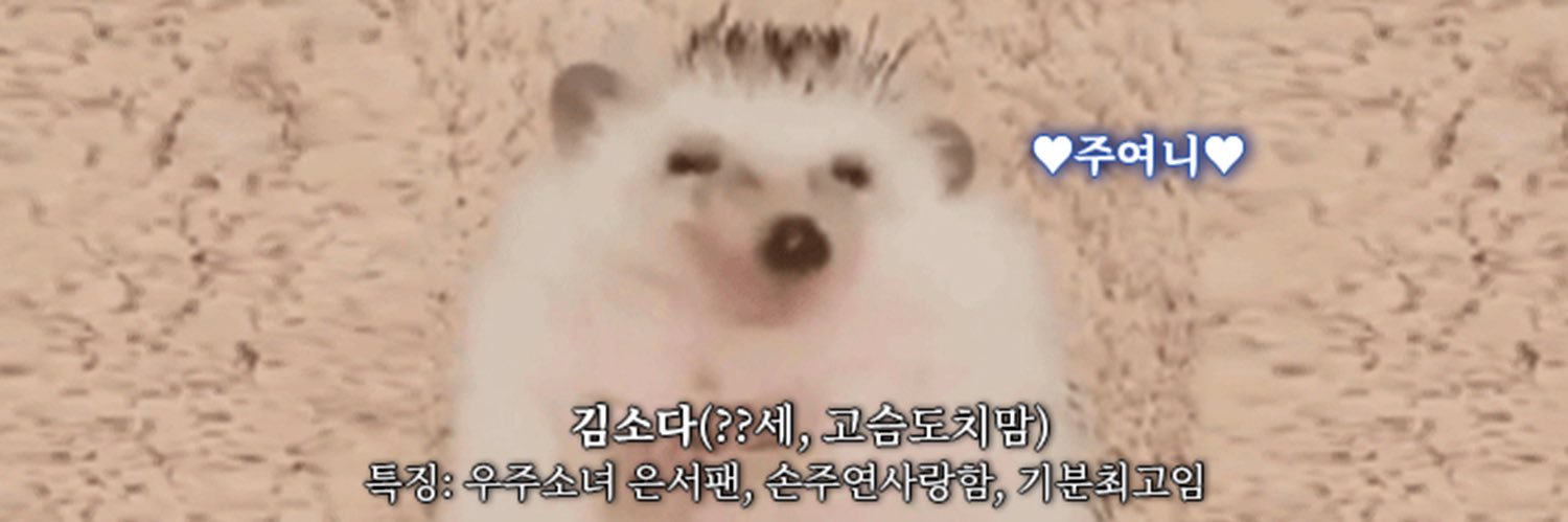 소다's banner