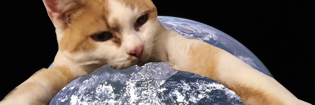r/penisquestion's banner