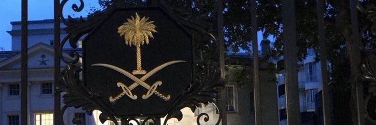علي | Ali's banner