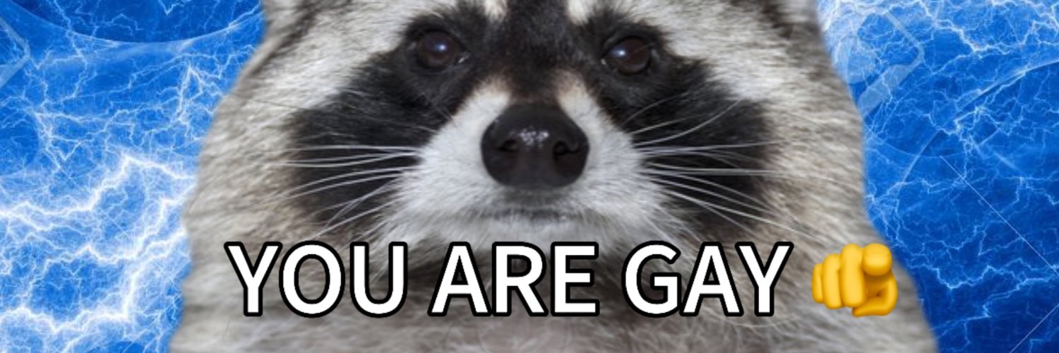 Bandit Raccoon 🇰🇿's banner