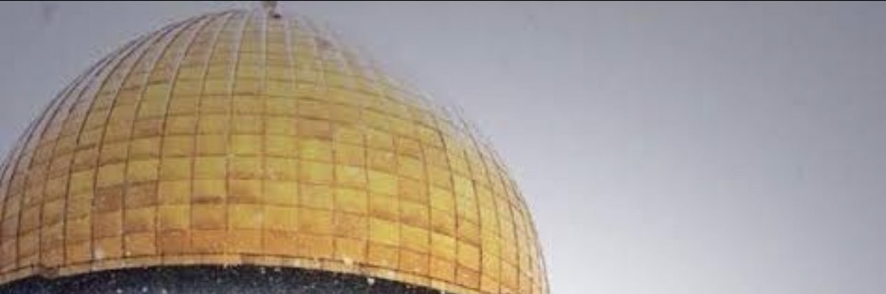 Ayman Ashraf's banner