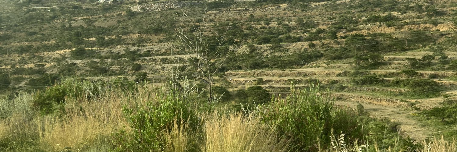 بنت الوطن's banner