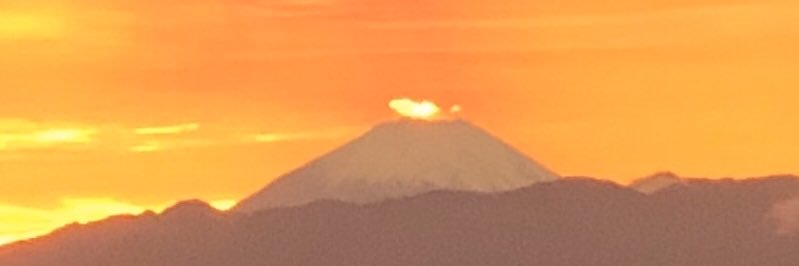 りら's banner