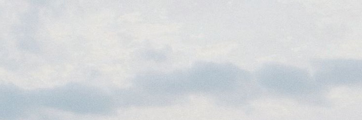 🕊️'s banner