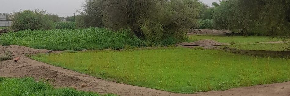 علي الطميحي's banner