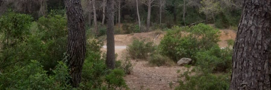 Cruisingcumdump 🐽💦's banner